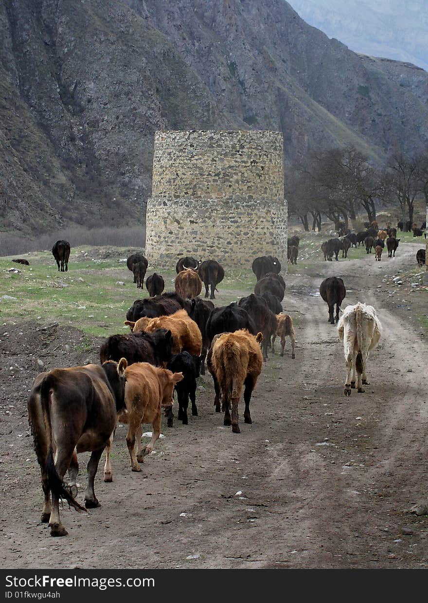 Ancient tower in mountains of Kavkaz Russia. Ancient tower in mountains of Kavkaz Russia