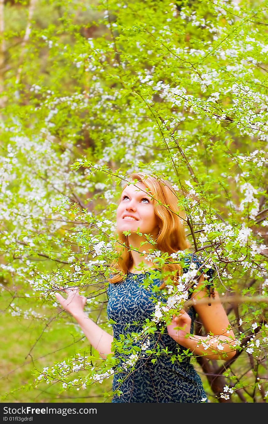 Young beautiful woman and blossomed tree. Young beautiful woman and blossomed tree