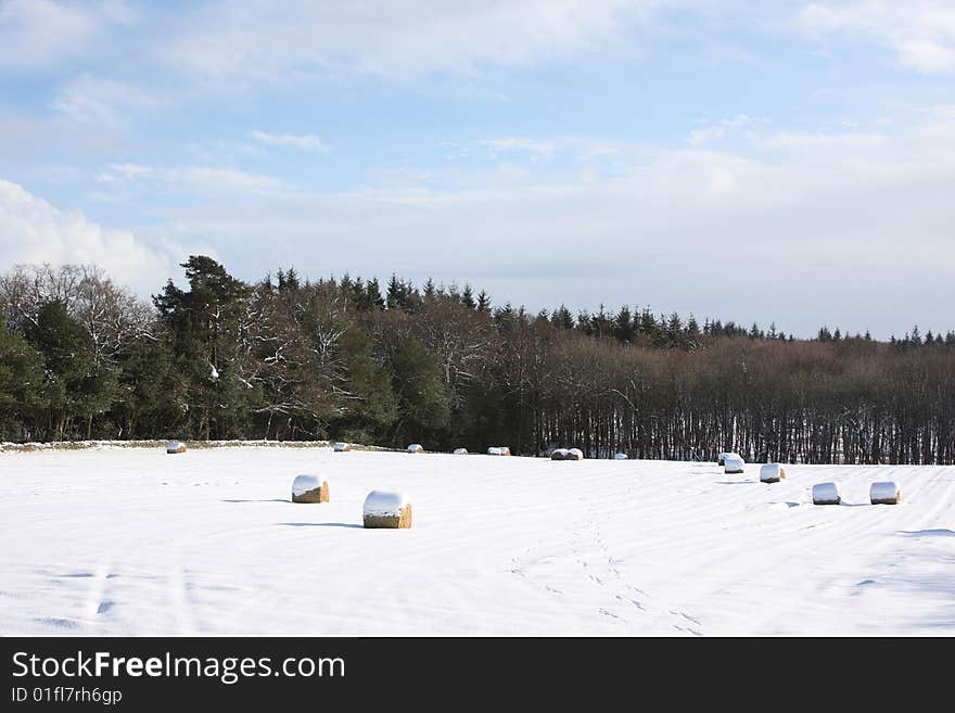 Hay bales in the snow