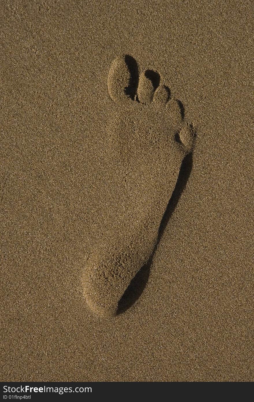 Footprint in the sand