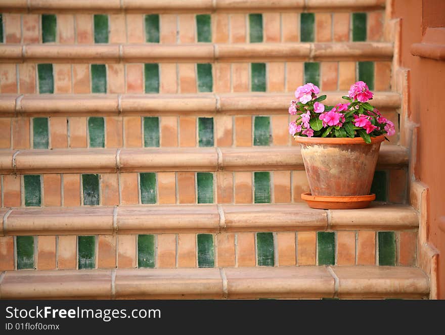 Colorful steps with flowerpot and flower