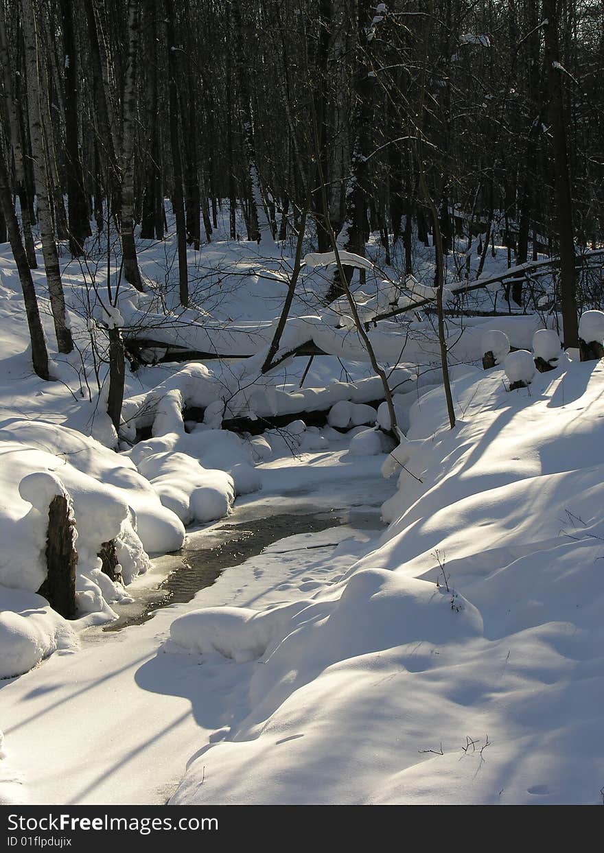 Stream in a winter forest