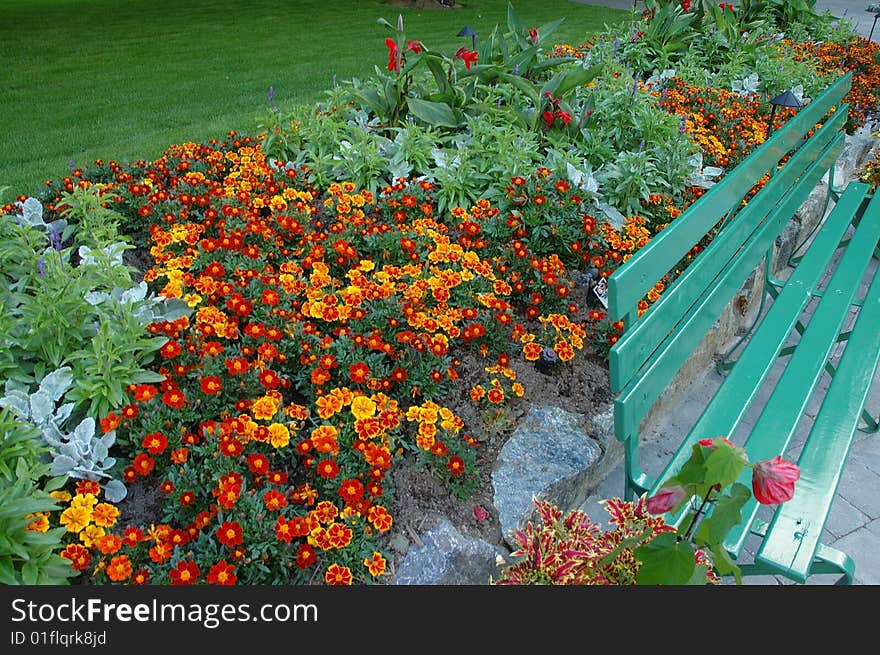 Flowers and bench