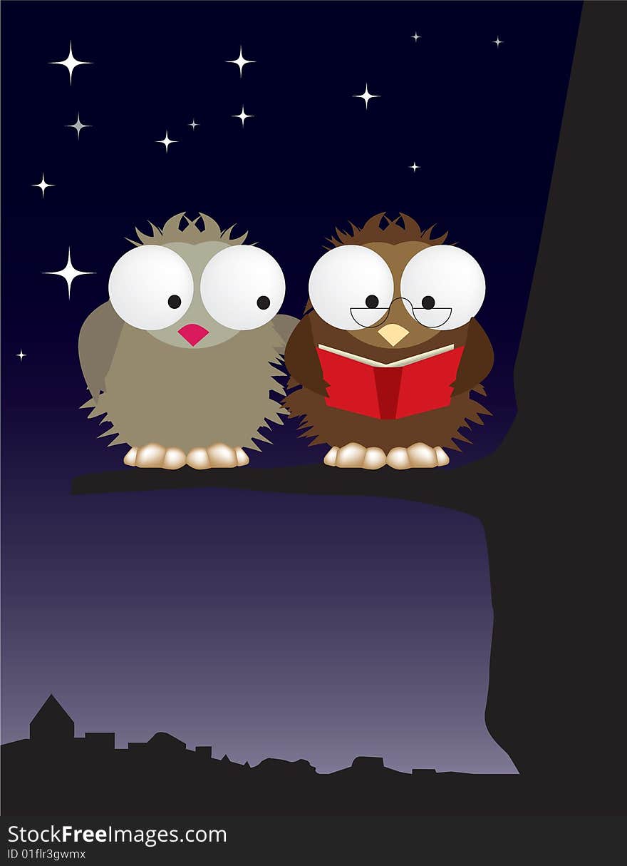 Mr And Mrs Owl In Love