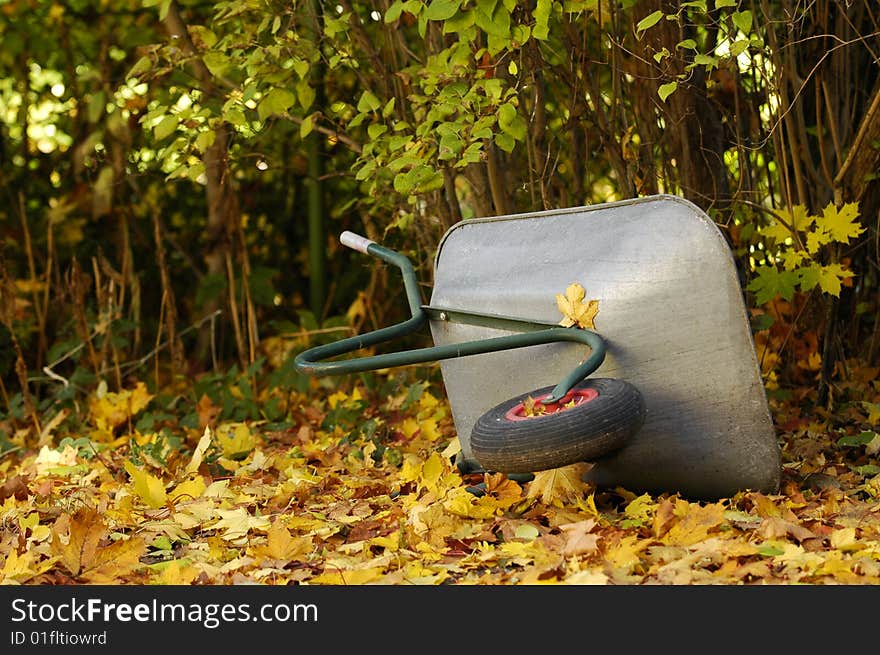 Autum in the garden with a forgotten wheelbarr