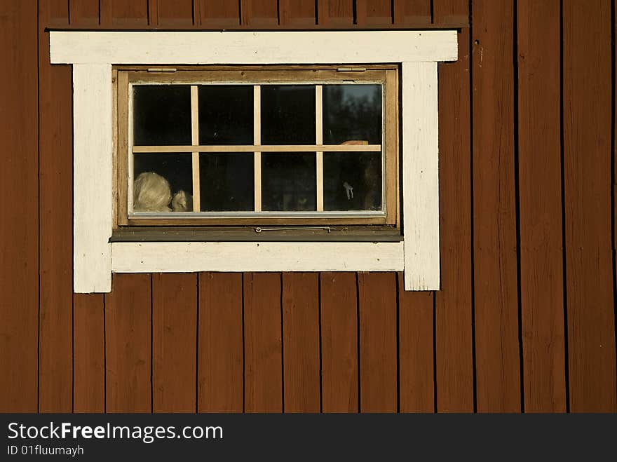 Old window