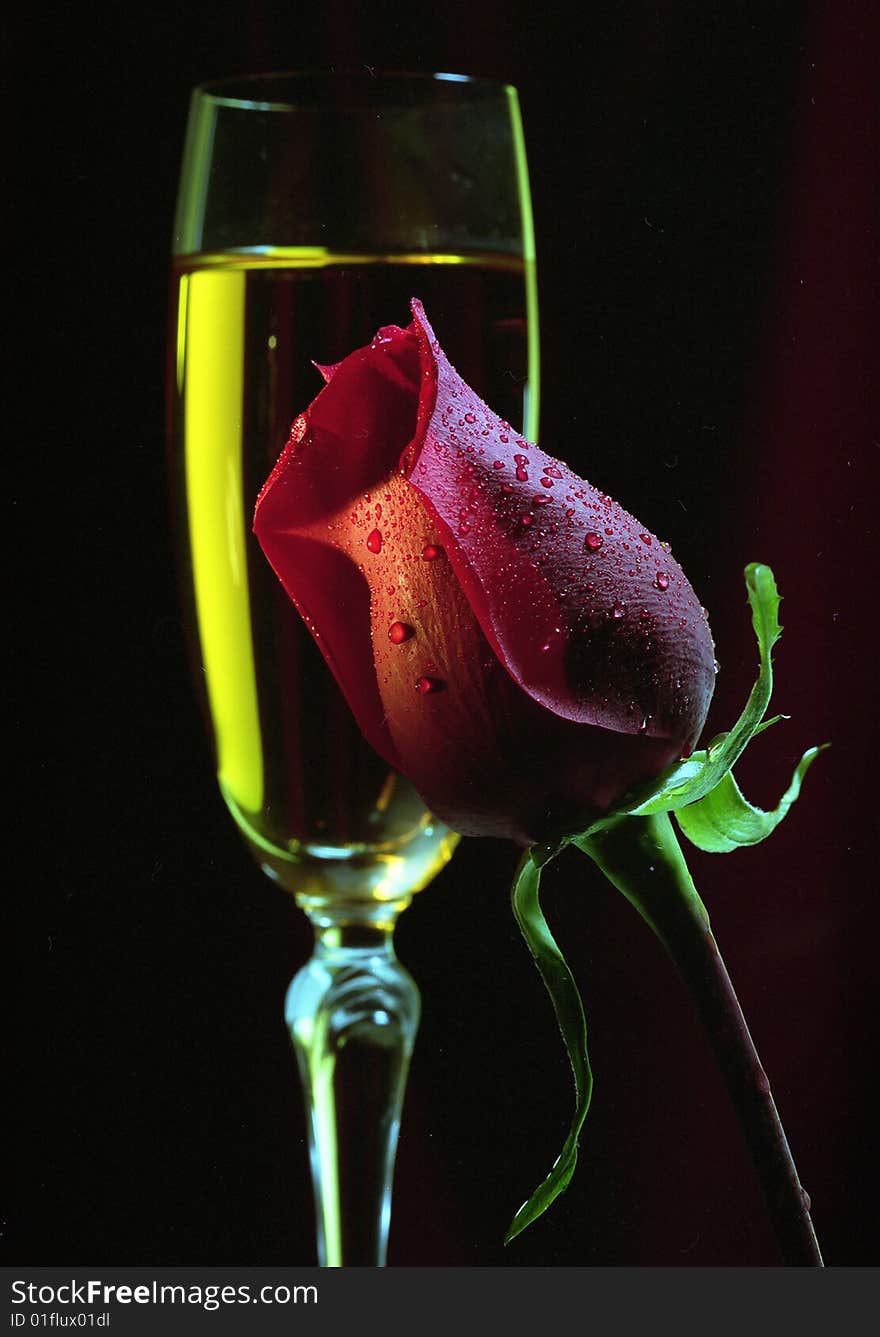 Red Rose and a glass of champagne on a black background. Red Rose and a glass of champagne on a black background