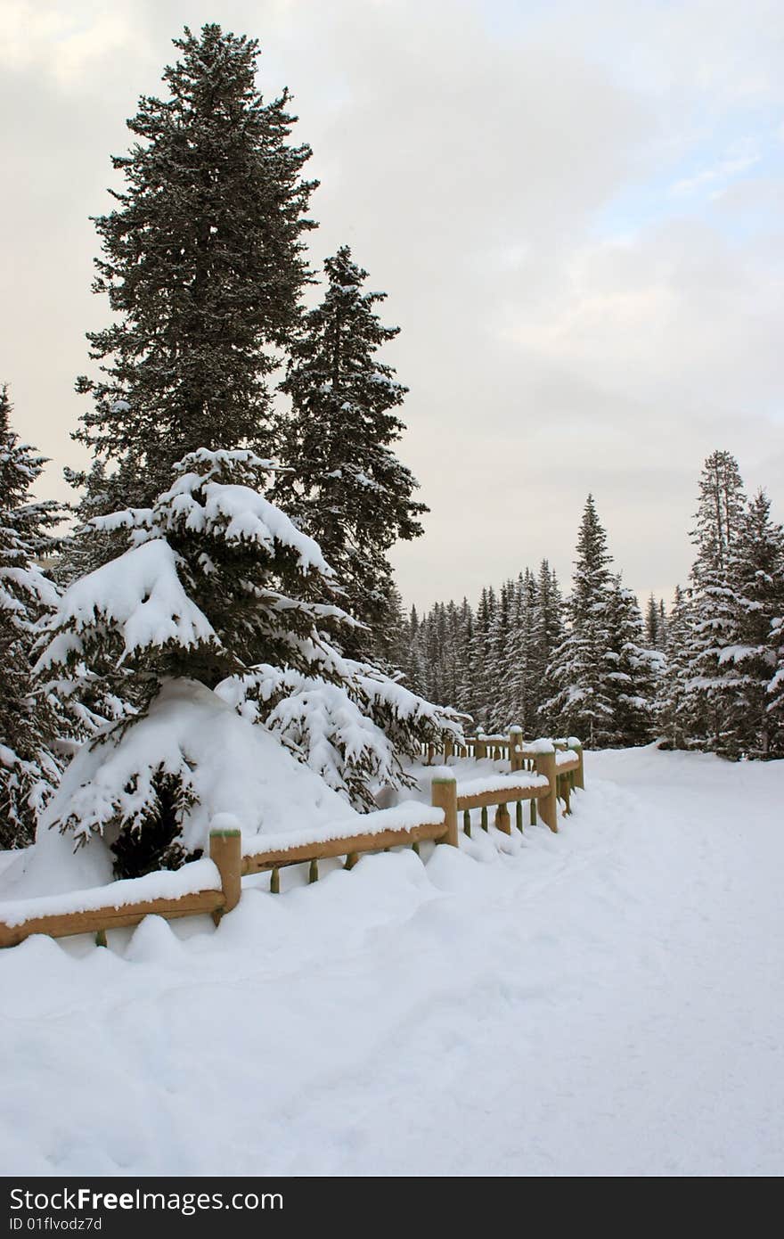 Path  In Snowy Mountains