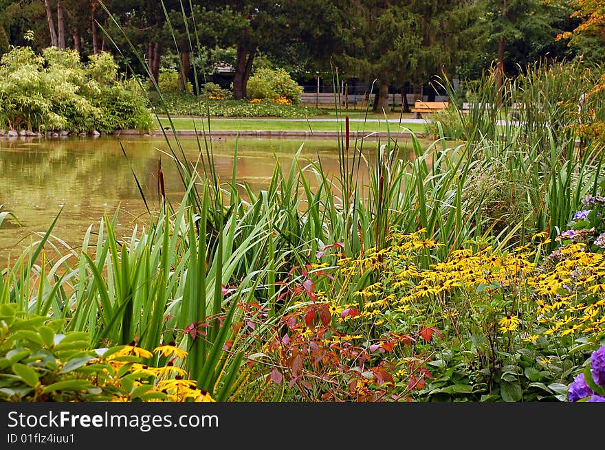 Autumn pond