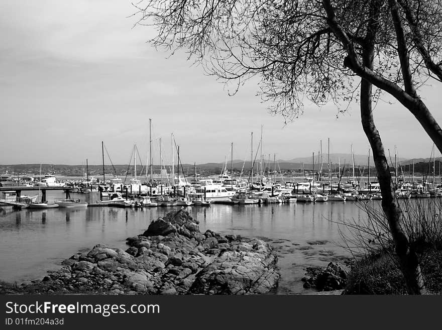 Monterey Bay California