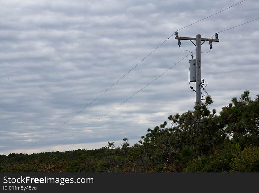 Power line in the forest