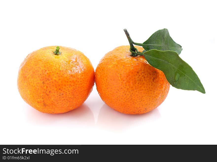 Mandarin Oranges