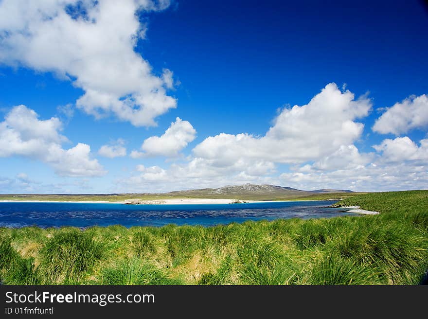 Kidney Island on the Falkland Islands