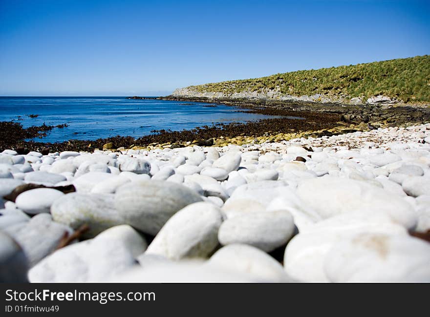 Sea Lions lying on an Isolated Beach in the Falkland Islands. Sea Lions lying on an Isolated Beach in the Falkland Islands.