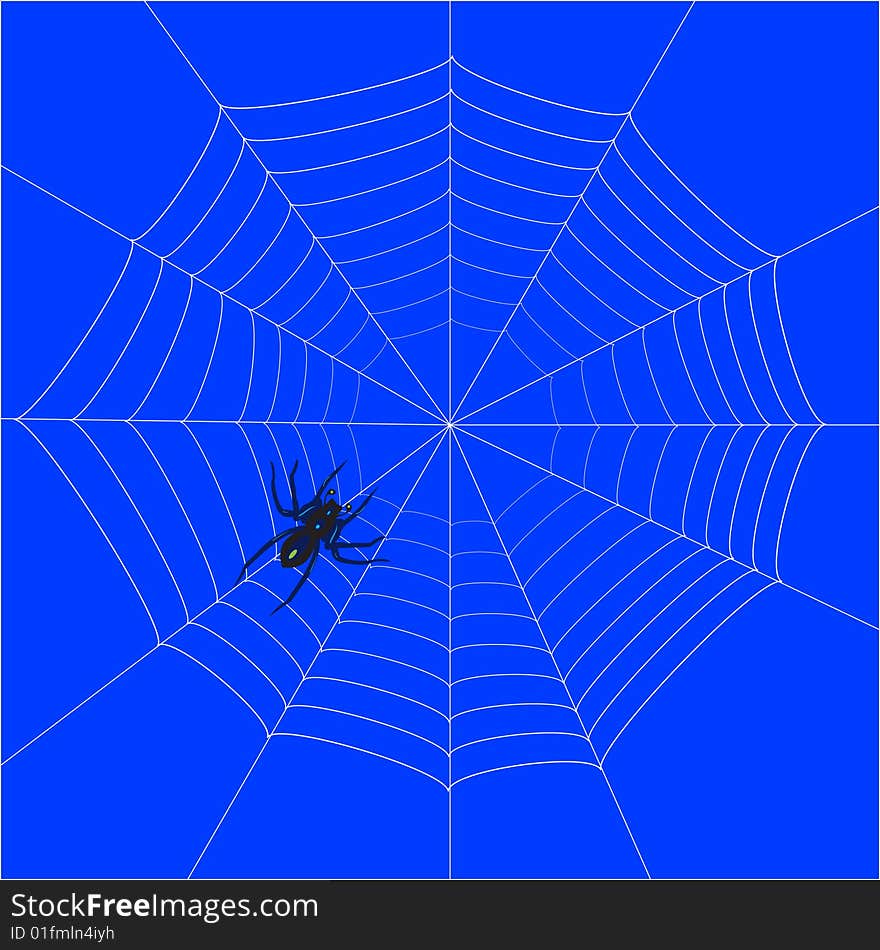 Spider web on blue background