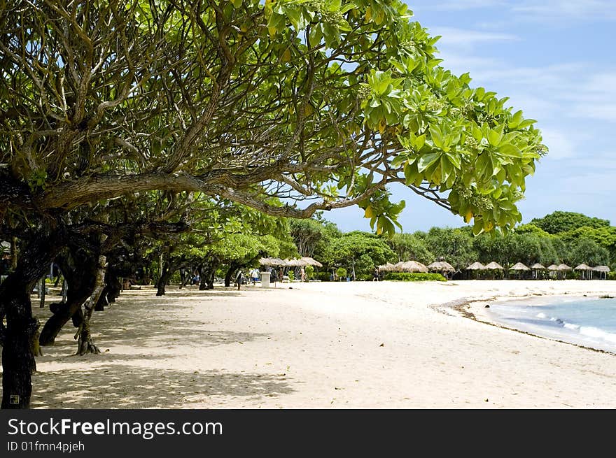 Bali Island - ocean and beach