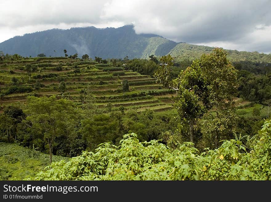 Bali Island - general landscape