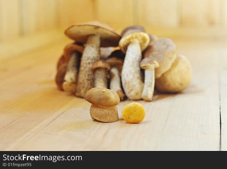 A pair of small mushrooms standing on a wooden floor in front of many big mushrooms. one and many concept. Shallow DOF.