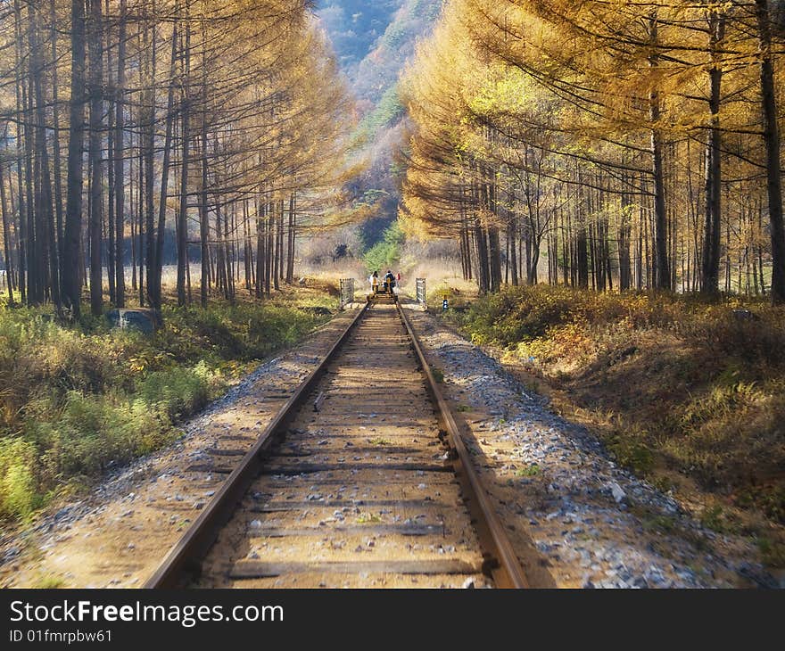 A railroad runs through the forest with a couple at the far end, sets in Korea. A railroad runs through the forest with a couple at the far end, sets in Korea