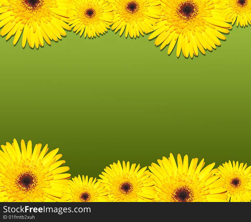 Spring background. Yellow on a green. Spring background. Yellow on a green.