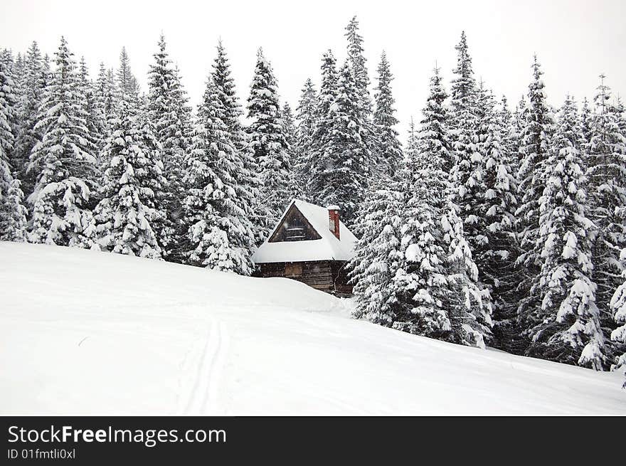 Lonely small house