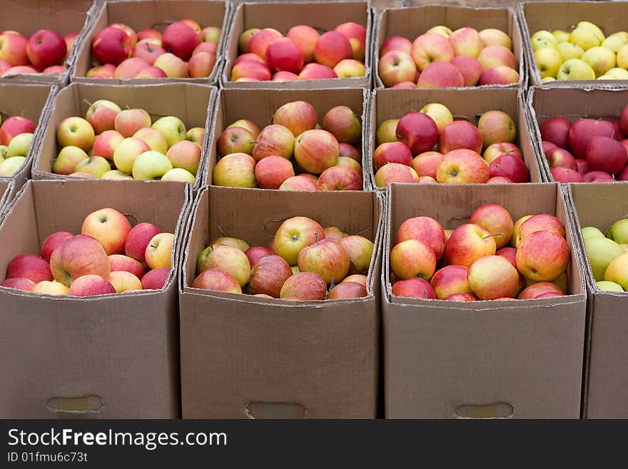 Many coloured apples in the carton boxes. Many coloured apples in the carton boxes