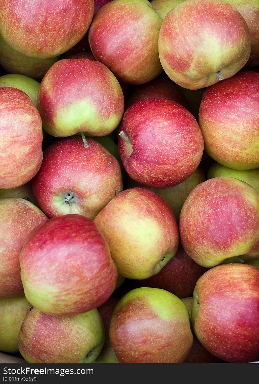 Coloured fresh juicy apples close up shot. Coloured fresh juicy apples close up shot