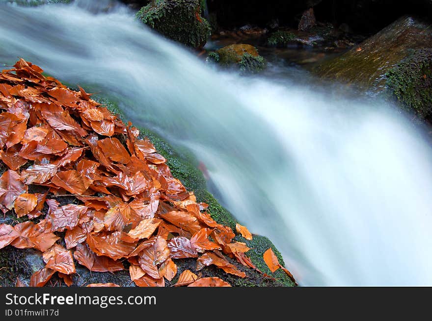 Autumn Waterfall In Bohemia