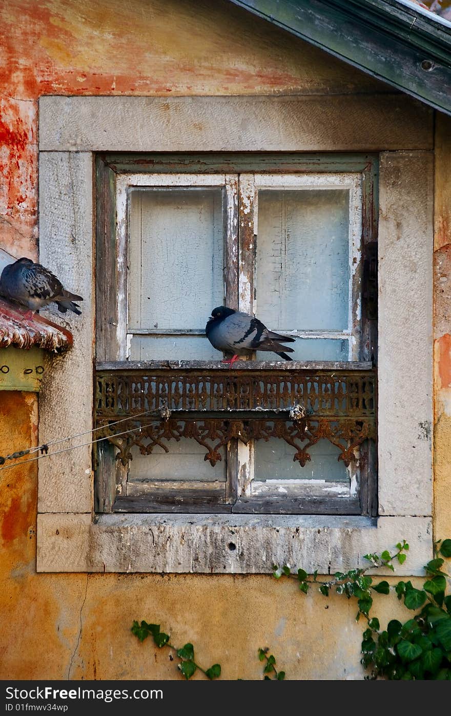 Old window with two sleepy pigeons in Sintra Village, Portugal. Old window with two sleepy pigeons in Sintra Village, Portugal