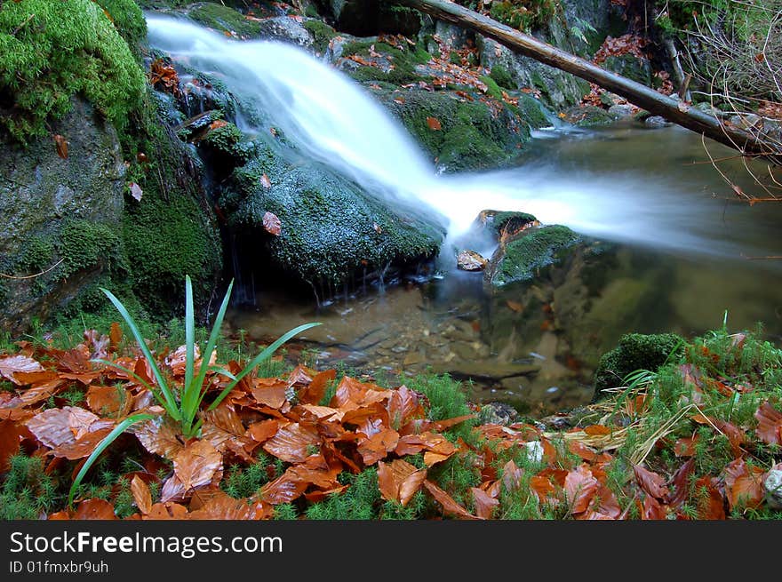 Autumn Waterfall In Bohemia