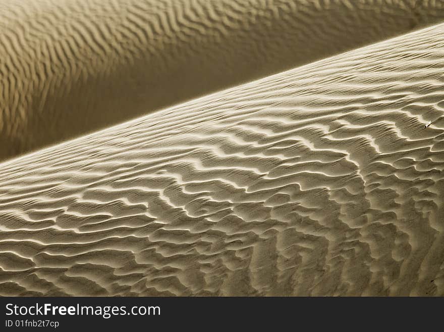 Detail of sand dune, Jaisalmer, India. Detail of sand dune, Jaisalmer, India