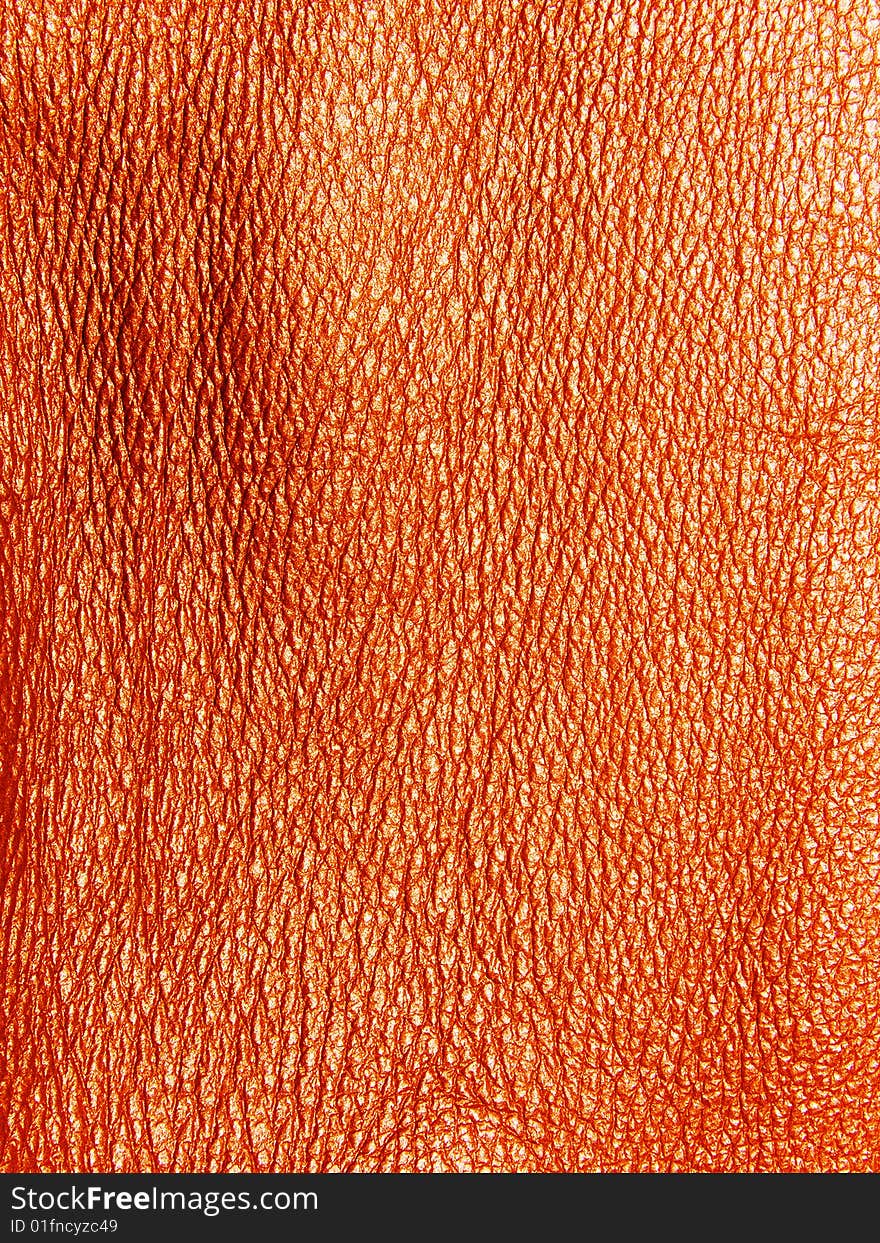 Skin structure