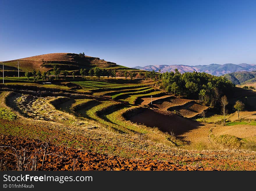 The land in red is the place that the farmer cultivates. The land in red is the place that the farmer cultivates