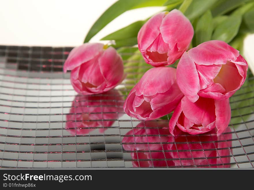 Tulips On Mirror