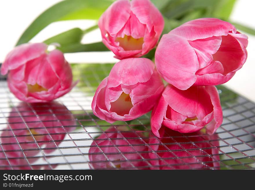 Tulips on mirror