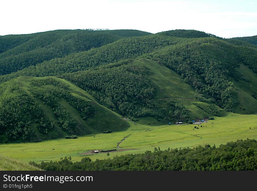 Beautiful blue sky and white clouds of cattle and sheep on the grasslands. Beautiful blue sky and white clouds of cattle and sheep on the grasslands