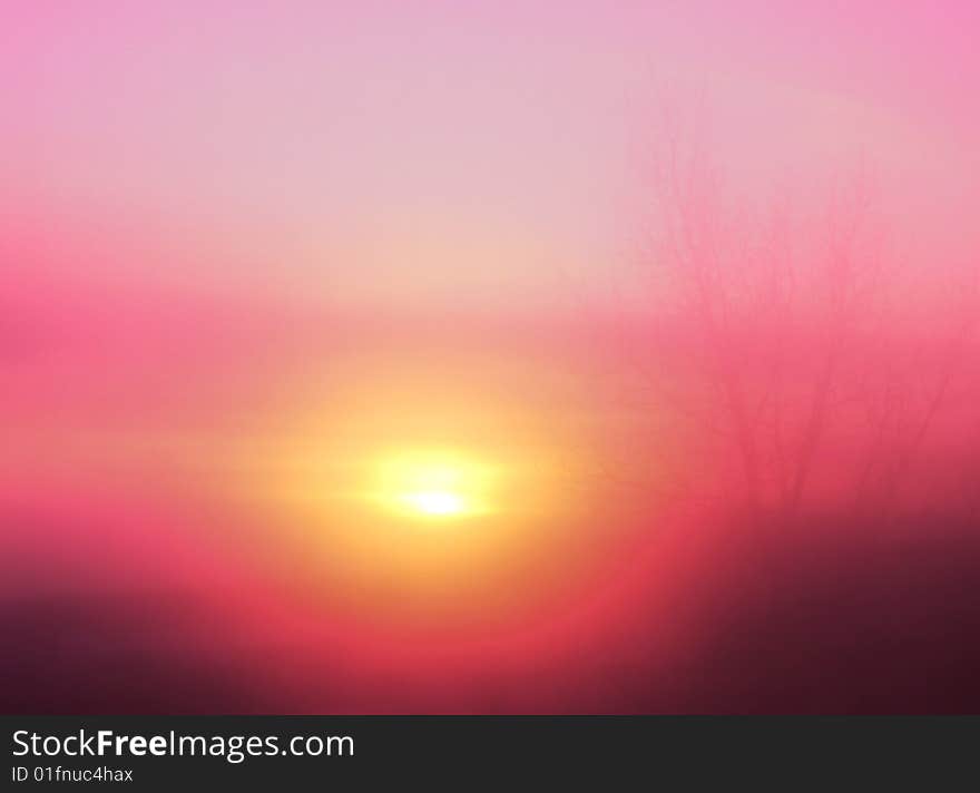 Photo of a rose sunrise taken through the weeping window. Photo of a rose sunrise taken through the weeping window