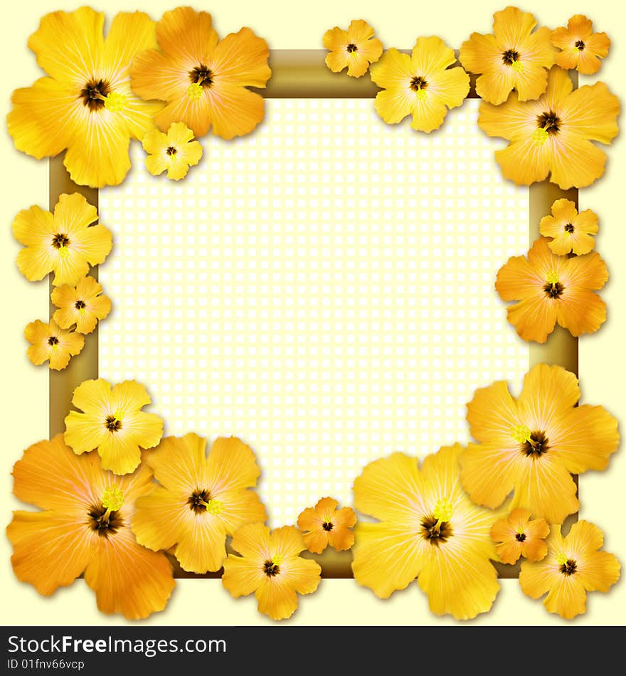 Hibiscus flowers framing square shaped image. 3 clipping paths included. Hibiscus flowers framing square shaped image. 3 clipping paths included