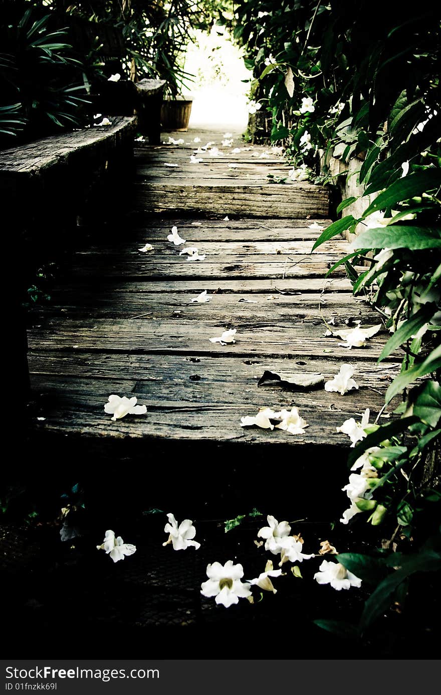 Rustic old bridge in the forest. Rustic old bridge in the forest