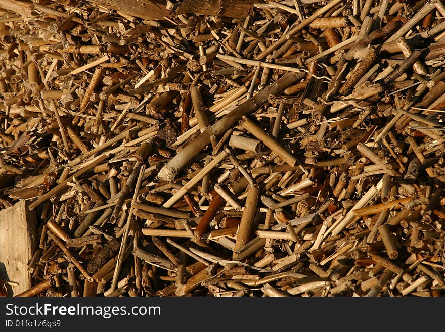 Photo of marine garbage ashore as background image