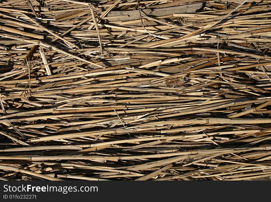 Photo of marine garbage ashore as background image