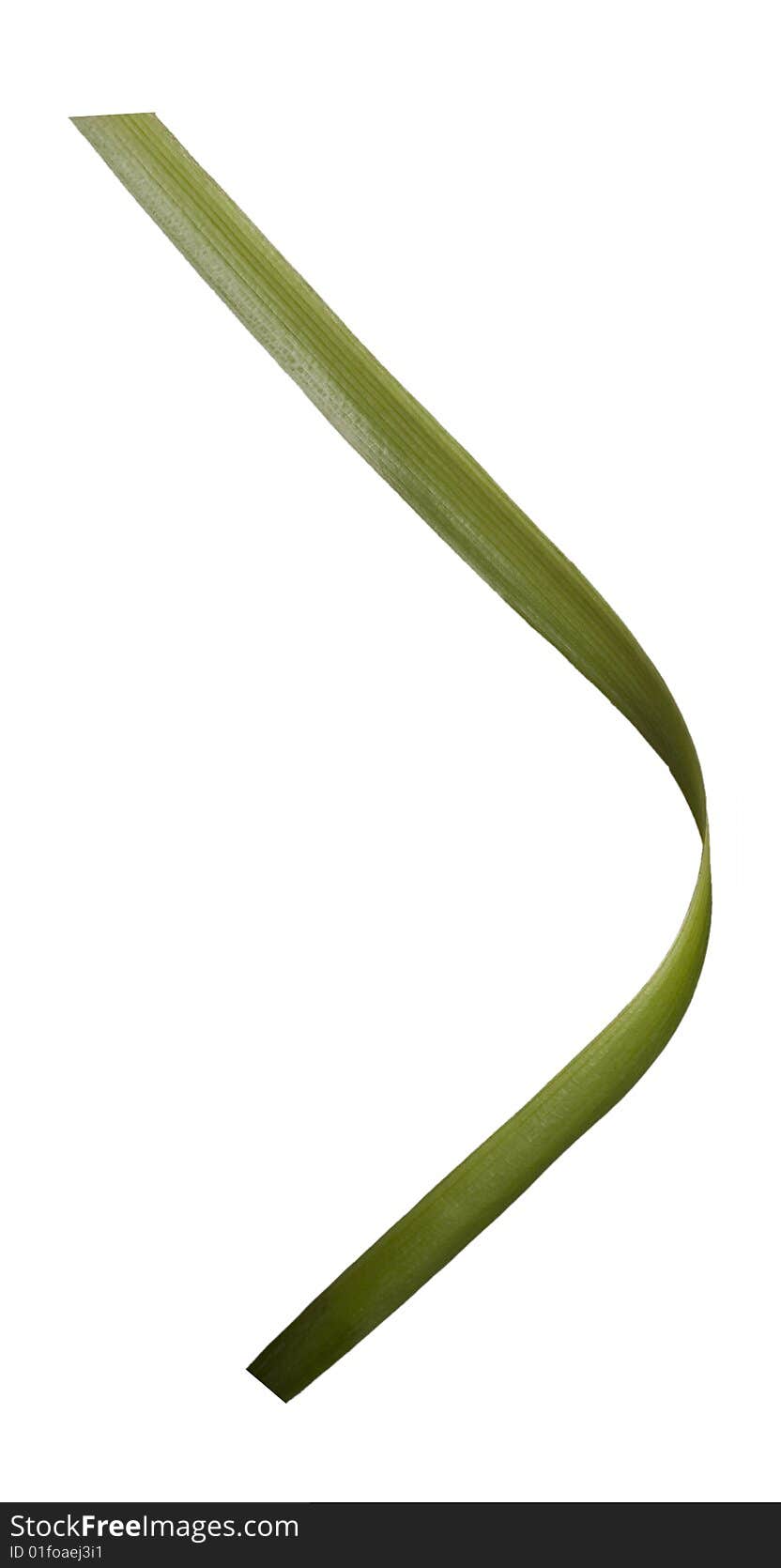 Piece of blade of grass, ideal for large compositions!