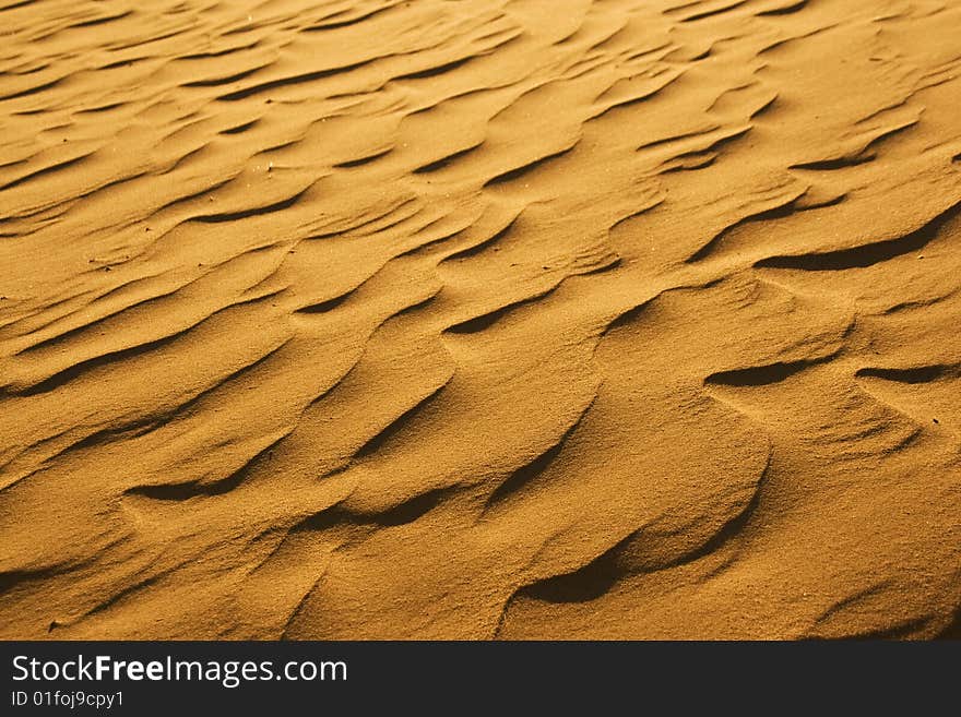 Sand pattern in morning sun in the Sahara desert. Sand pattern in morning sun in the Sahara desert