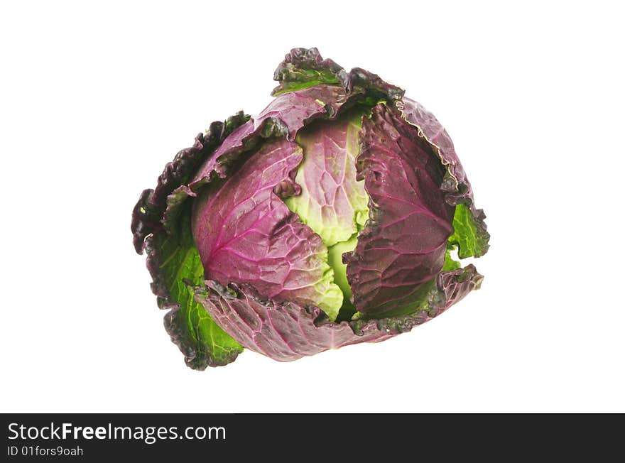 Red and green cabbage isolated against white