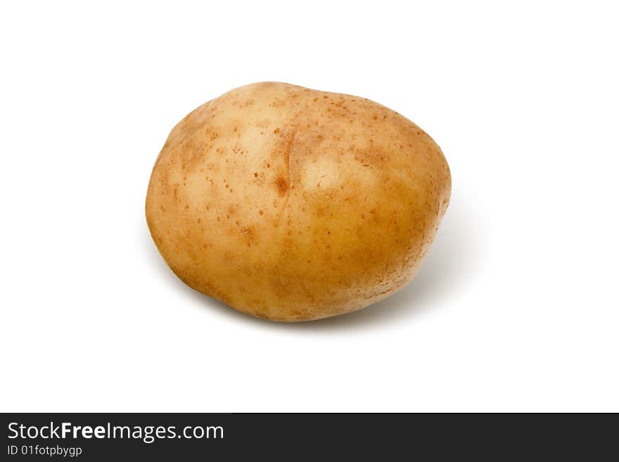 One potato in an isolated white background