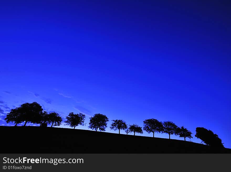 A hillside at dawn, with a line of silhouetted trees under a clear, deep blue, sky.