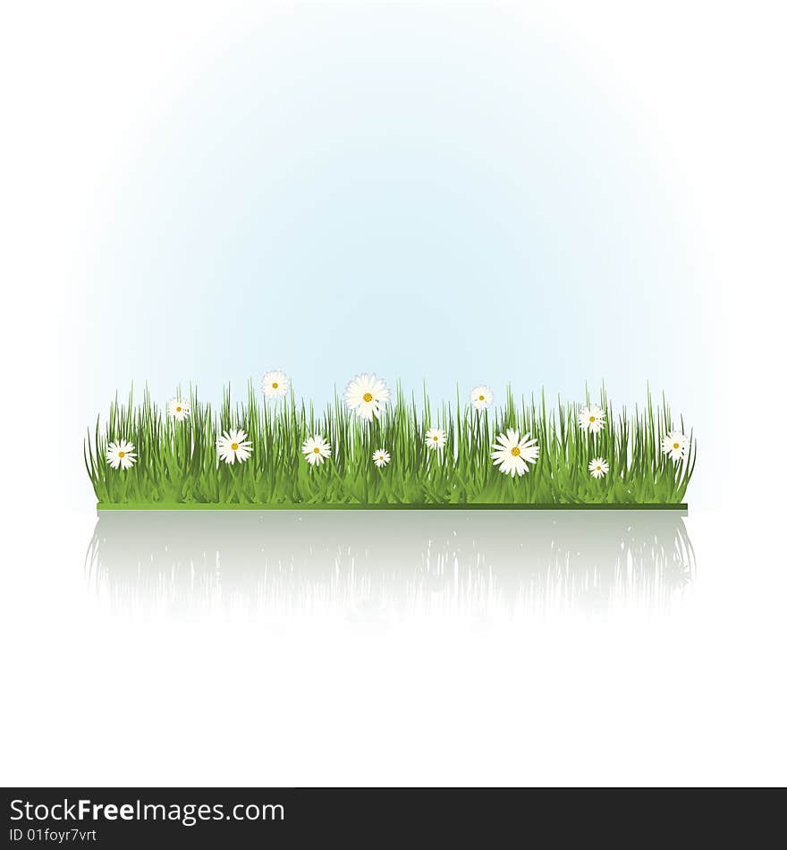 Spring florel grass with flowers. Spring florel grass with flowers