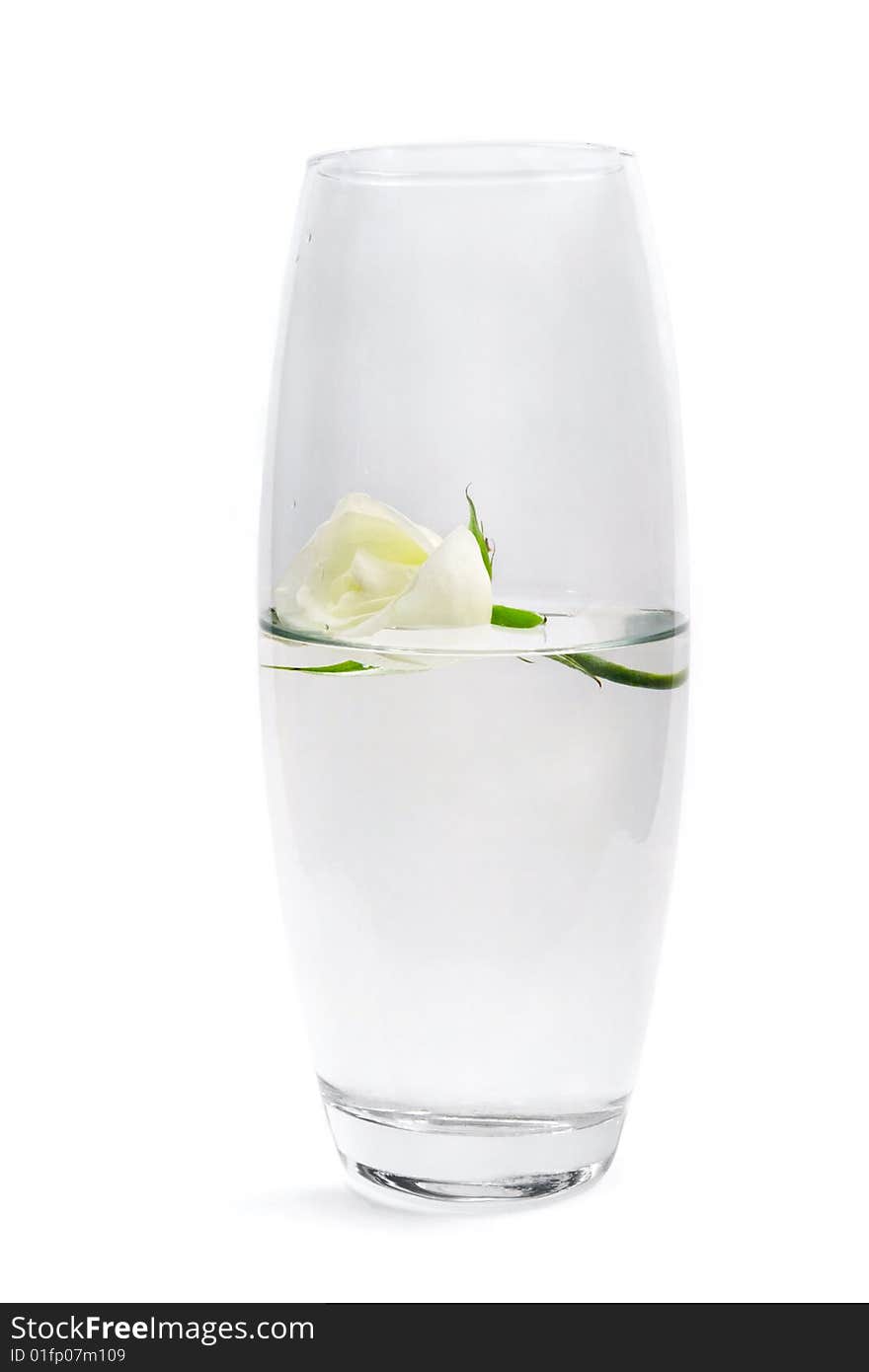 Rose in vase