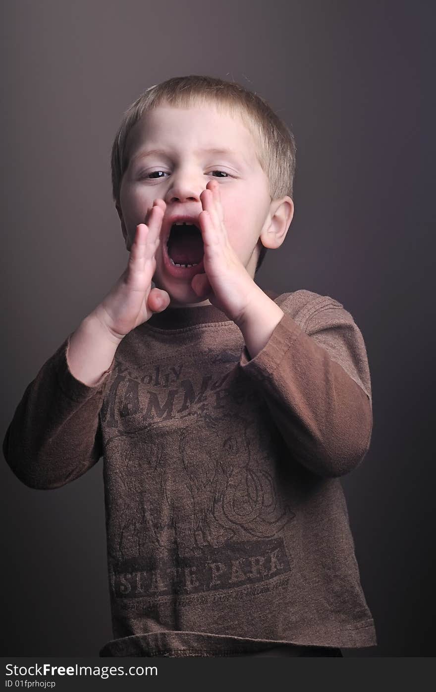 Portraits of little boy