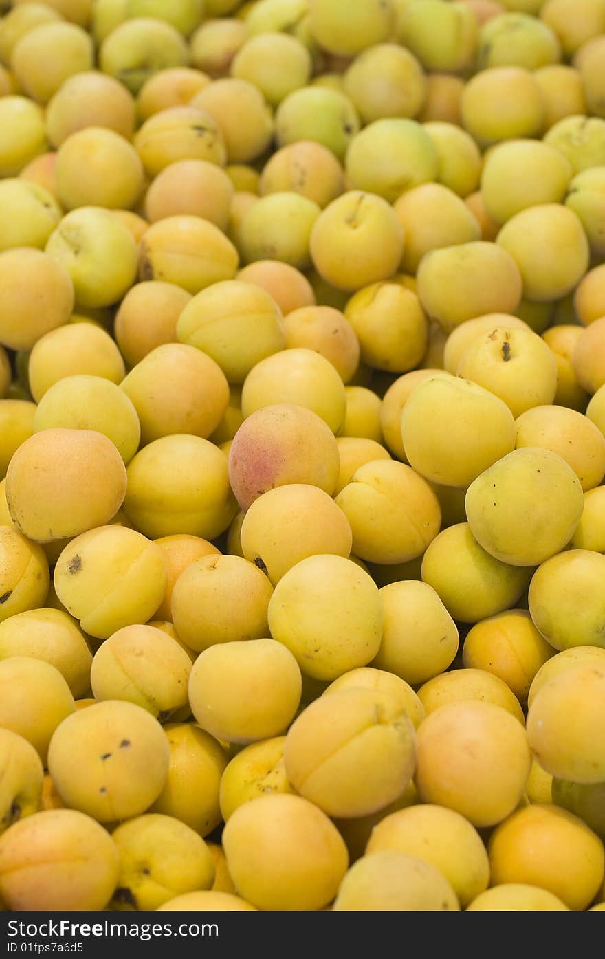 Apricots